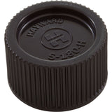 Drain Cap, Hayward Pro Series, with Gasket, Pre 2005 : SX180HG - Hayward - 0610377614474 - PartsForSpas.com