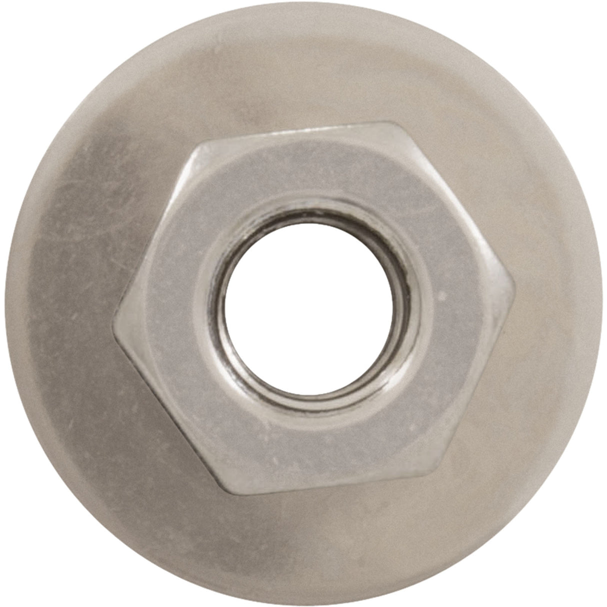 Hex Nut, Hayward S240, with Washer : ECX1645 - Hayward - 0610377757355 - PartsForSpas.com
