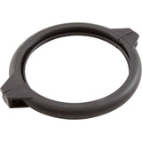 Locking Clamp, Raypak Protege RPSF : 018215F - Raypak - 840891043119 - PartsForSpas.com