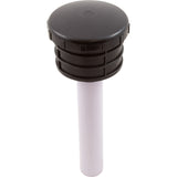 Standpipe Assembly, Raypak Protege RPSF14 : 018216F - Raypak - 840891043126 - PartsForSpas.com