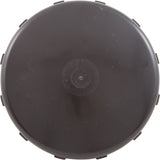 Standpipe Assembly, Raypak Protege RPSF14 : 018216F - Raypak - 840891043126 - PartsForSpas.com