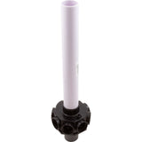 Standpipe Assembly, Raypak Protege RPSF21 : 018219F - Raypak - 840891043157 - PartsForSpas.com