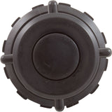 Water Drain, Raypak Protege RPSF : 018224F - Raypak - 840891043201 - PartsForSpas.com