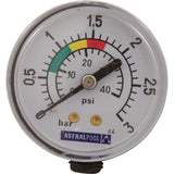 Pressure Gauge Kit, Astral, Back Mount, 1/8" : 4404080104
