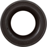 Bulkhead Flange, Astral Aster Sand Filter, 2" : 00469R0316 - Astral Products/Fluidra - 00469R0316 - PartsForSpas.com