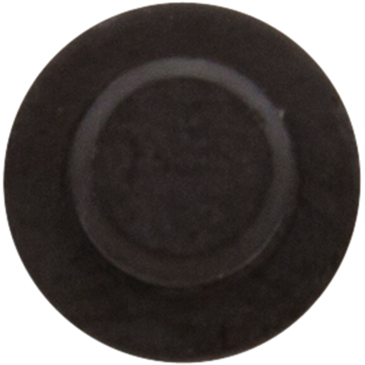 Plug, Air Relief, Astral, Aster Filters : 00648R0202 - Astral Products, Inc. - 00648R0202 - PartsForSpas.com