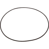 O-Ring, Buna-N, Astral, Rapidpool Filter, Collar : 722R2550040