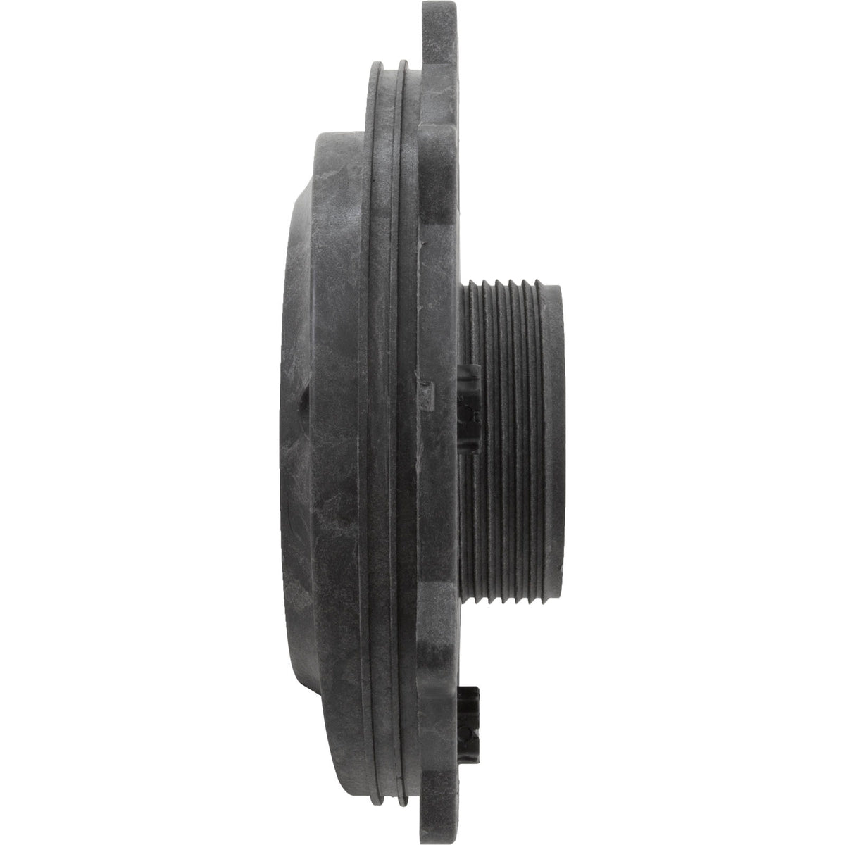 Executive" Volute Faceplate 2"Int Plugs & O-Rings : 316-1220