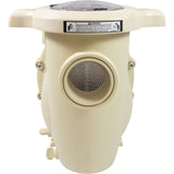 Pump, Pentair IntelliFlo3 VSF, 3.0hp, 208-230v, Var-Spd : 011075 - Pentair - 011075 - PartsForSpas.com