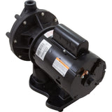 Pump, Booster, Pentair Letro, 0.75hp, 115v/230v, OEM : LA01N - StaRite/Pentair - 807318004788 - PartsForSpas.com