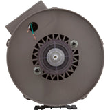 Blower, Air Supply Galaxy Pro, 1.0hp, 115v, 4.5A, Hardwire : 6510131