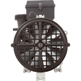 Pump, BWG Vico Ultimax GE, 3.0hp, 230v, 2"mbt, OEM : 7154213-S