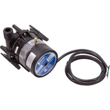 Pump, Circ, Laing E-10, 115v, 3/4"mpt, 4ft Bare Cord, OEM : 6050U0013 - Laing/Xylem - 733886502114 - PartsForSpas.com