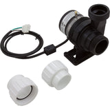 Pump, Circ, Laing E-14, 230v, 1-1/2"mbt, 4ft Amp Cord, OEM : LMB07102983 - Laing/Xylem - 733886733488 - PartsForSpas.com