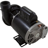 Pump, Circ, WW Iron Might, 1/15hp, 1.3A, 115v, 48fr, OEM : 3410030-1E - Waterway Plastics - 806105066459 - PartsForSpas.com