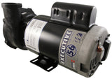 Pump, WW Executive, 4.0hp, 230V, 2-Spd, 56Fr, 2", 8ft Cord : ME-40226-20