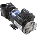 Pump, WW Ex2, 4.0SPL, 230v, 2-Spd, 48fr, 2", OEM : 3421821-1U - Waterway Plastics - 806105361523 - PartsForSpas.com