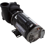 Pump, WW Exec, 3.0SPL, 230v, 2-Spd, 48fr, 2", OEM : 3421221-1A - Waterway Plastics - 806105074423 - PartsForSpas.com