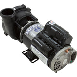 Pump, WW Exec, 4.5SPL, 230v, 2-Spd, 48fr, 2", OEM : 3421821-1A - Waterway Plastics - 806105075369 - PartsForSpas.com