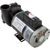 Pump, WW Exec, 4.0hp, 230v, 1-Spd, 56fr, 2", OEM : 3711621-1D - Waterway Plastics - 3711621-1D - PartsForSpas.com