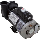 Pump, WW Exec, 4.0hp, 230v, 1-Spd, 56fr, 2-1/2" x 2", OEM : 3711621-13 - Waterway Plastics - 3711621-13 - PartsForSpas.com
