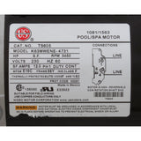 Pump, WW Exec, 4.0hp, 230v, 1-Spd, 56fr, 2-1/2" x 2", OEM : 3711621-13 - Waterway Plastics - 3711621-13 - PartsForSpas.com
