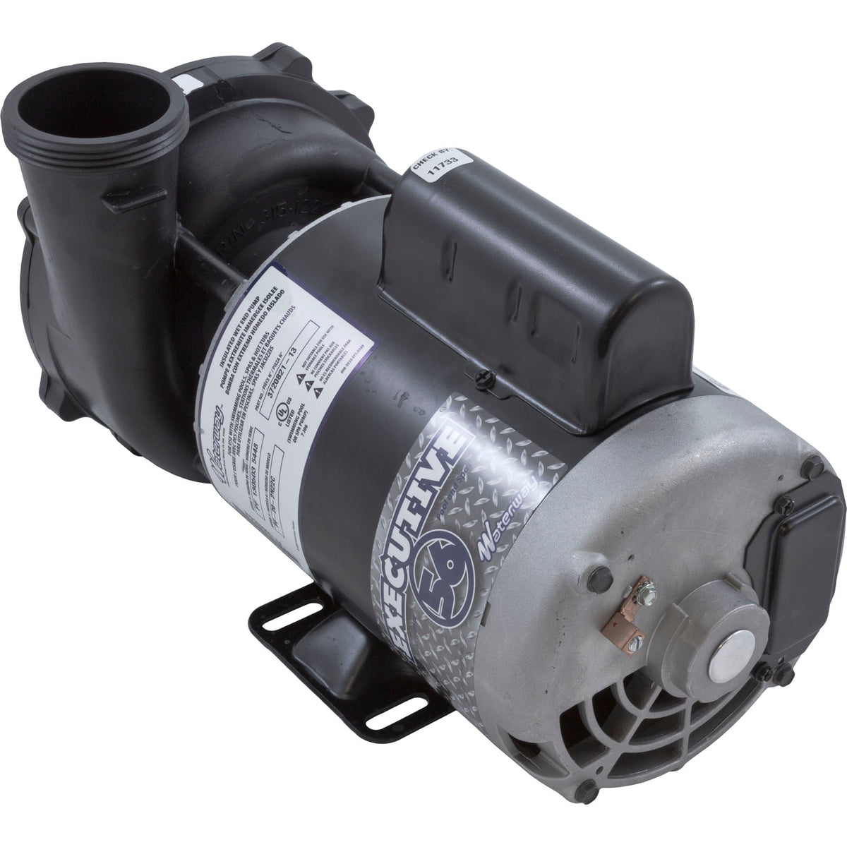 Pump, WW Exec, 2.0hp, 230v, 2-Spd, 56fr, 2-1/2" x 2", OEM : 3720821-13 - Waterway Plastics - 8.06105E+11 - PartsForSpas.com