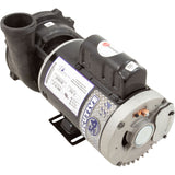 Pump, WW Exec, 3.0hp, 230v, 2-Spd, 56fr, 2", OEM : 3721221-1D - Waterway Plastics - 3721221-1D - PartsForSpas.com