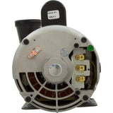 Pump, WW Exec, 3.0hp, 230v, 2-Spd, 56fr, 2-1/2" x 2", OEM : 3721221-13 - Waterway Plastics - 3721221-13 - PartsForSpas.com