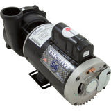 Pump, WW Exec, 4.0hp, 230v, 2-Spd, 56fr, 2", OEM : 3721621-1D - Waterway Plastics - 3721621-1D - PartsForSpas.com