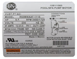 Pump, WW Exec, 4.0hp, 230v, 2-Spd, 56fr, 2-1/2" x 2", OEM : 3721621-13 - Waterway Plastics - 3721621-13 - PartsForSpas.com