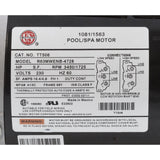 Pump, WW Exec, 5.0hp, 230v, 2-Spd, 56fr, 2", OEM : 3722021-1D - Waterway Plastics - 806105078711 - PartsForSpas.com