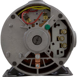 Pump, WW E-Series, 0.75hp, 115v, 2-Spd, 48fr, 1-1/2", OEM : 3420310-15 - Waterway Plastics - 806105070814 - PartsForSpas.com