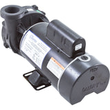 Pump, WW Hi-Flo, 3.0hp, 230v, 2-Spd, 48fr, 2", OEM : 3421221-10