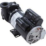 Pump, WW Hi-Flo, 4.0SPL, 230v, 2-Spd, 48fr, 2", OEM : 3421621-10