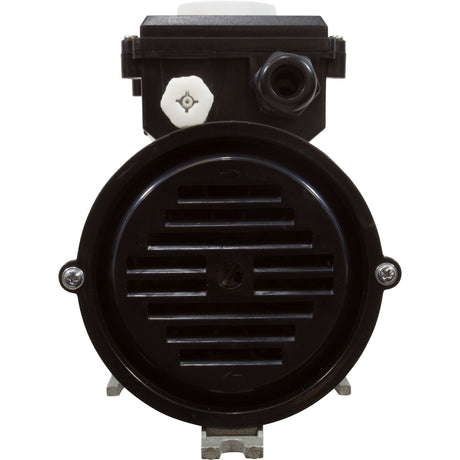 Pump, Bath, LX WCH, 9.0A, 115v, 1.5", w/Air Switch : WCH150 - Lingxiao (LX) Pump - WCH150 - PartsForSpas.com