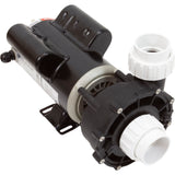 Pump, LX 48WUA, 1.0hp, 115v, 2-Spd, 48Fr, 2" : 48WUA1001C-II