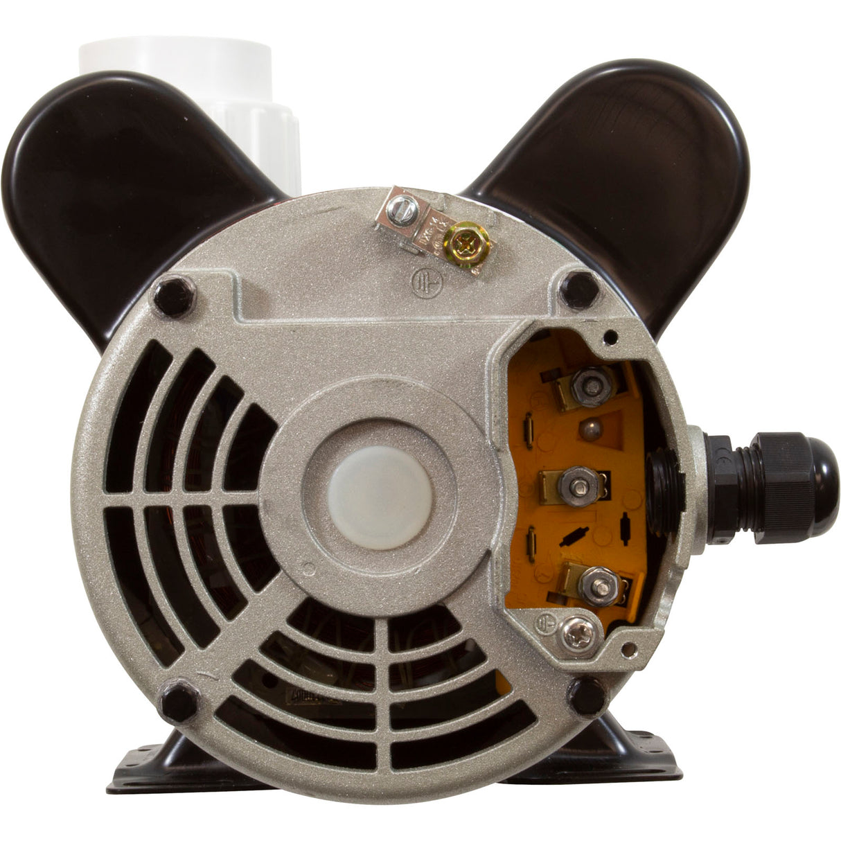 Pump, LX 48WUA, 1.5hp, 230v, 2-Spd, 48Fr, 2" : 48WUA1502C-II - Lingxiao (LX) Pump - 789363010045 - PartsForSpas.com