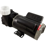 Pump, LX 48WUA, 1.65hp, 115v/230v, 1-Spd, 48Fr, 2" : 48WUA1653C-I - Lingxiao (LX) Pump - 48WUA1653C-I - PartsForSpas.com