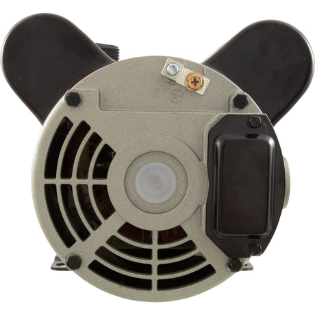 Pump, LX 48WUA, 1.65hp, 115v/230v, 1-Spd, 48Fr, 2" : 48WUA1653C-I - Lingxiao (LX) Pump - 48WUA1653C-I - PartsForSpas.com