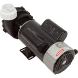 Pump, LX 48WUA, 2.0hp, 230v, 2-Spd, 48Fr, 2" : 48WUA2002C-II - Lingxiao (LX) Pump - 48WUA2002C-II - PartsForSpas.com