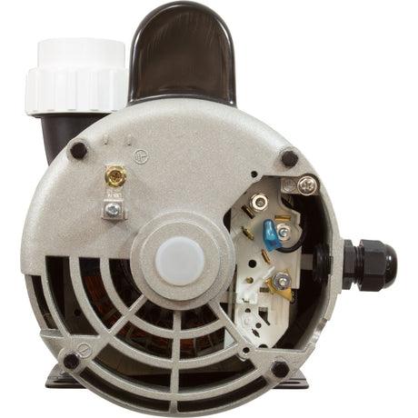 Pump, LX 56WUA, 3.0hp, 230v, 2-Spd, 56Fr, 2", SD : 56WUA300-II - Lingxiao (LX) Pump - 56WUA300-II - PartsForSpas.com
