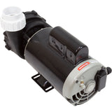 Pump, LX 56WUA, 3.0hp, 230v, 1-Spd, 56Fr, 2", SD : 56WUA300-I - Lingxiao (LX) Pump - 56WUA300-I - PartsForSpas.com