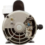 Pump, LX 56WUA, 3.0hp, 230v, 1-Spd, 56Fr, 2", SD : 56WUA300-I - Lingxiao (LX) Pump - 56WUA300-I - PartsForSpas.com