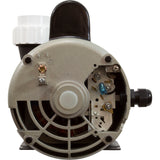 Pump, LX 56WUA, 4.0hp, 230v, 2-Spd, 56Fr, 2", SD : 56WUA400-II - Lingxiao (LX) Pump - 56WUA400-II - PartsForSpas.com