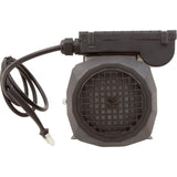 Pump, Circ, LX WE10, 230v, 3450rpm, 0.8A, 3/4"b : WE10 230V - Lingxiao (LX) Pump - WE10 230V - PartsForSpas.com