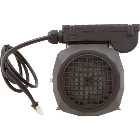 Pump, Circ, LX WE10, 230v, 3450rpm, 0.8A, 3/4"b : WE10 230V - Lingxiao (LX) Pump - WE10 230V - PartsForSpas.com