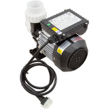 Pump, Circ, LX WE14, 230v, 3450rpm, 1.0A, 1-1/2"mbt : WE14 230V - Lingxiao (LX) Pump - WE14 230V - PartsForSpas.com