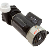 Pump, LX 48WUA, 2.0hp, 230v, 2-Spd, 48Fr, 2", SD, Bracketless : 48WUA2002C-II(NF) - Lingxiao (LX) Pump - 48WUA2002C-II(NF) - PartsForSpas.com