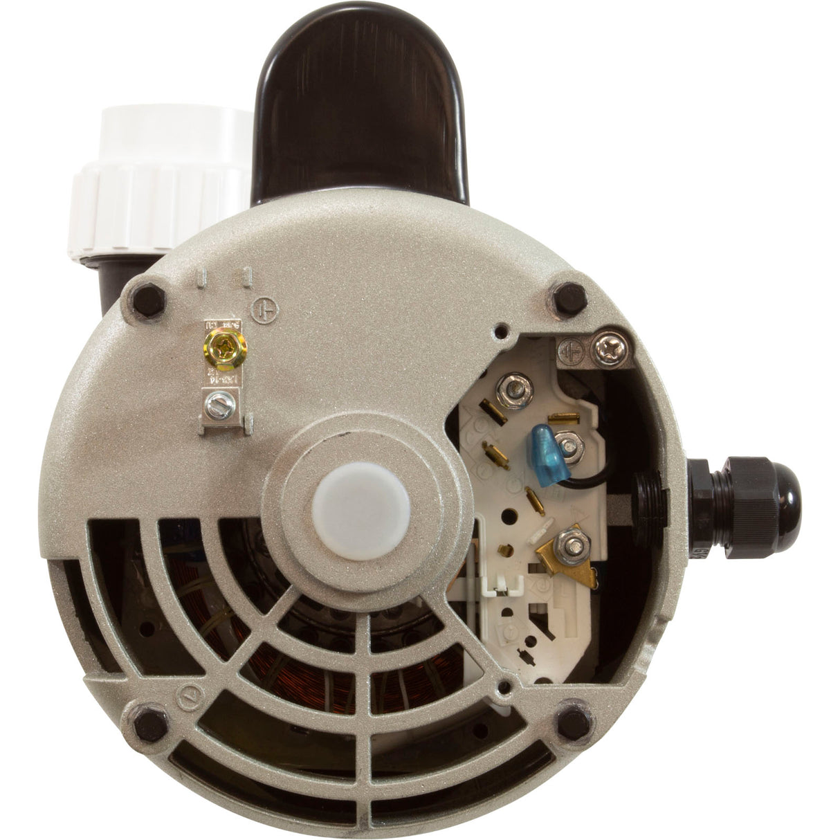 Pump, LX 56WUA, 4.0hp, 230v, 2-Spd, 56Fr, 2", SD, Bracketless : 56WUA400-II(NF) - Lingxiao (LX) Pump - 56WUA400-II(NF) - PartsForSpas.com
